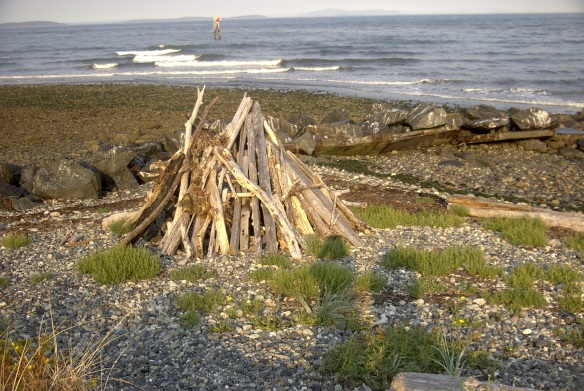 Driftwood sculpture at another Salish Sea site--a Bellingham Bay beach.